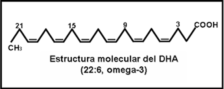 Estructura del ácido Docosahexaenoico