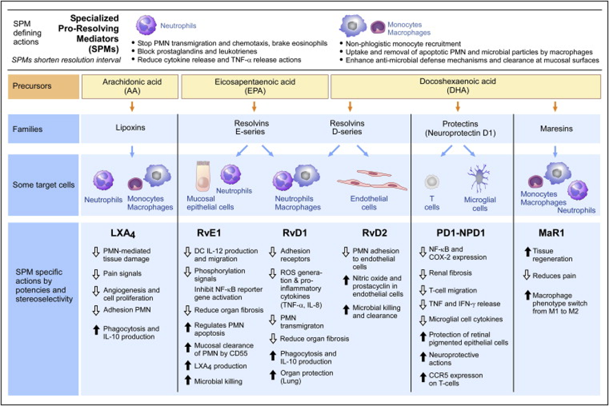 Efectos de los Omega 3 EPA y DHA