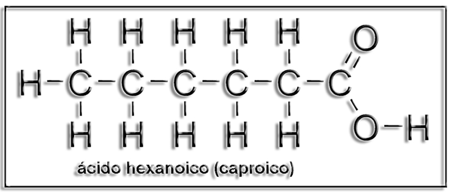 Estructura del ácido caproico