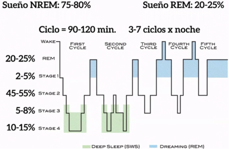 El sueño: qué es, cómo es y qué hace - Félix Mora