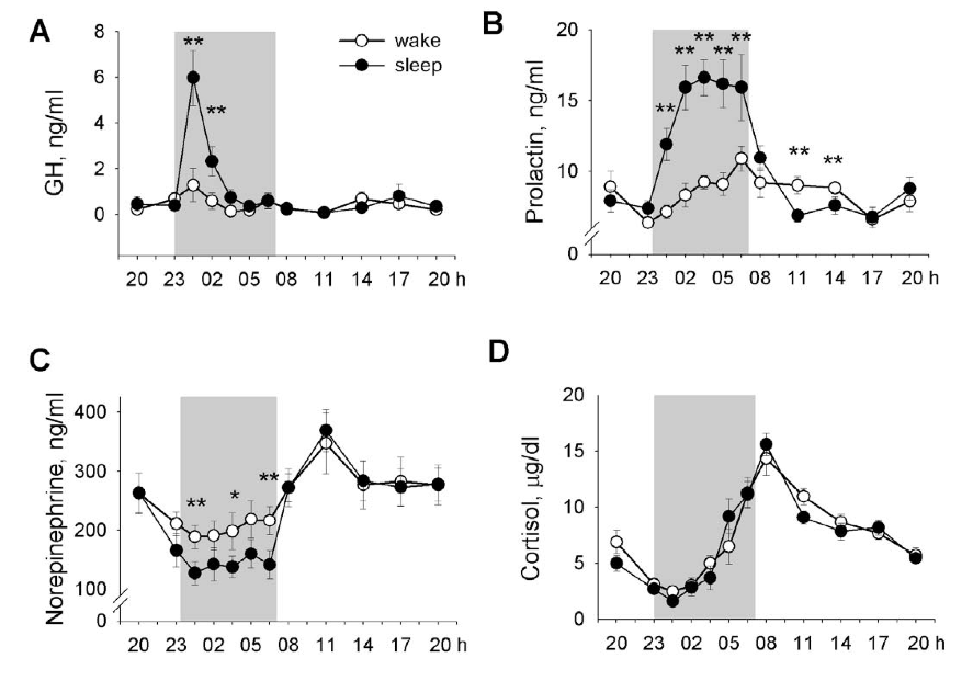 Graph of hormone release during sleep