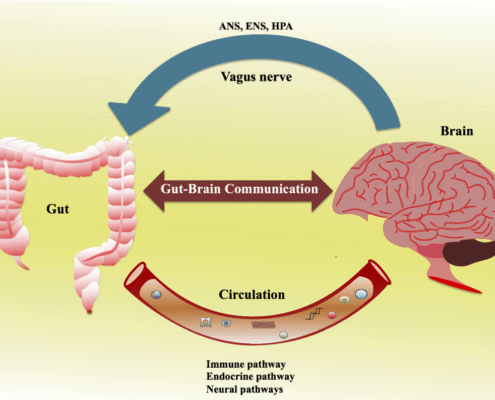 Salud intestinal