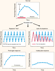 síntomas de estrés crónico