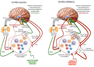 síntomas de estrés crónico